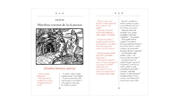 Orbis Sensualium Pictus. El mundo en imágenes.   Iohannes Amos Comenius   Besonders Buch Spanisch Mode – Bild 3