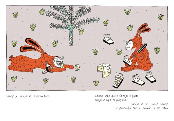 Conejo y conejo   Isabella Saturno, Stefano Di Cristofaro   Kinderbuch Spanisch Verkauf – Bild 3